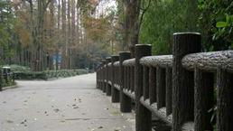 南京藝金園景觀工程的產(chǎn)品特點